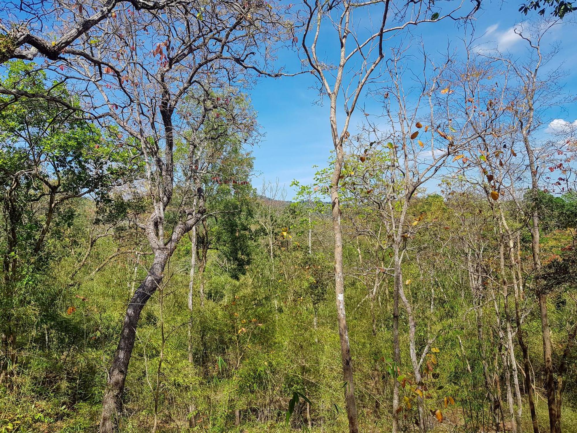 Ratanakiri Homestay & Jungle Trek Banlung Экстерьер фото